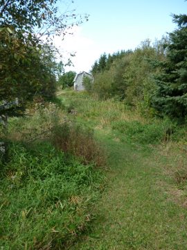 Hiking trail